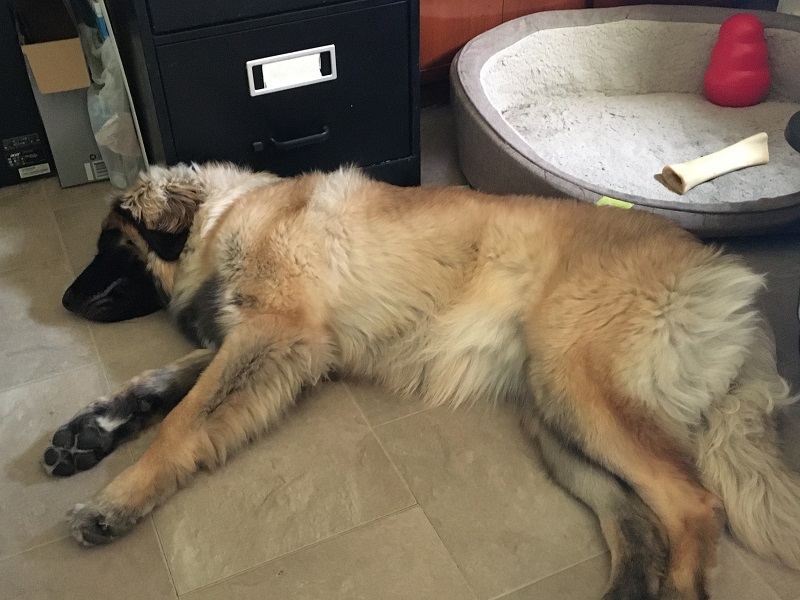 Peach – End Week&nbsp;1