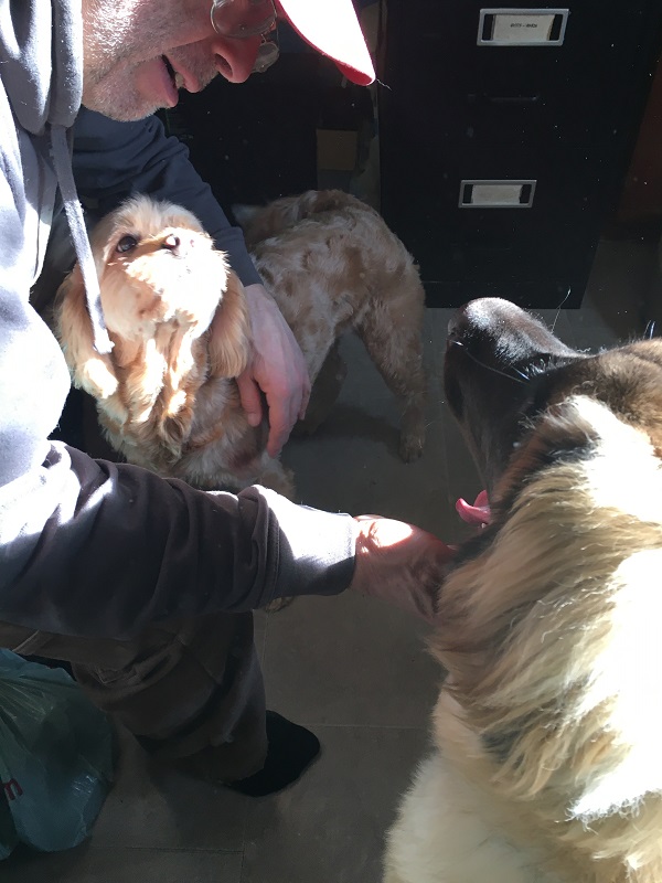 Peach – Day&nbsp;4