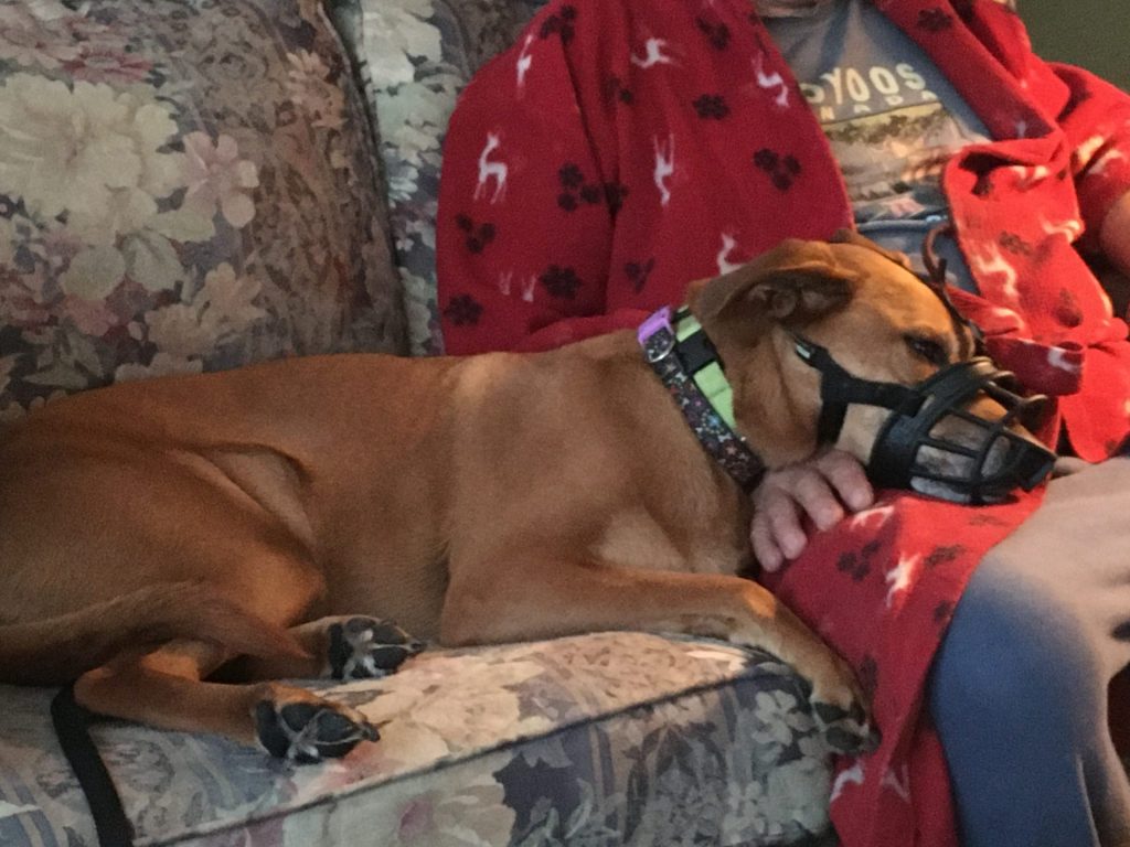 Stella: Day 2, Day’s End