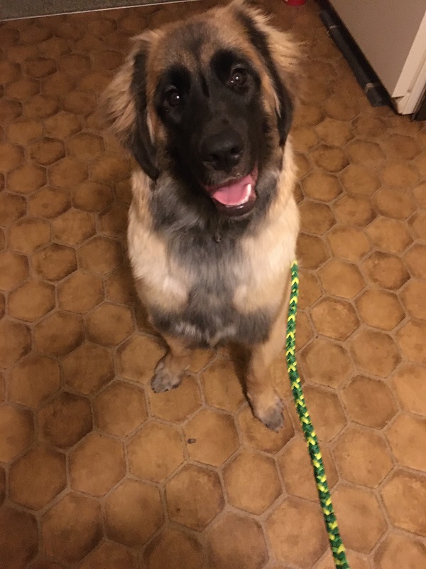 Peach – Day&nbsp;5