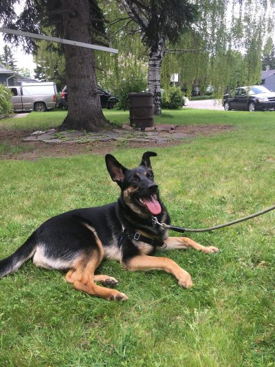 Odin after working