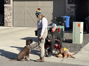 Reactive Lagotto Has a Breakthrough